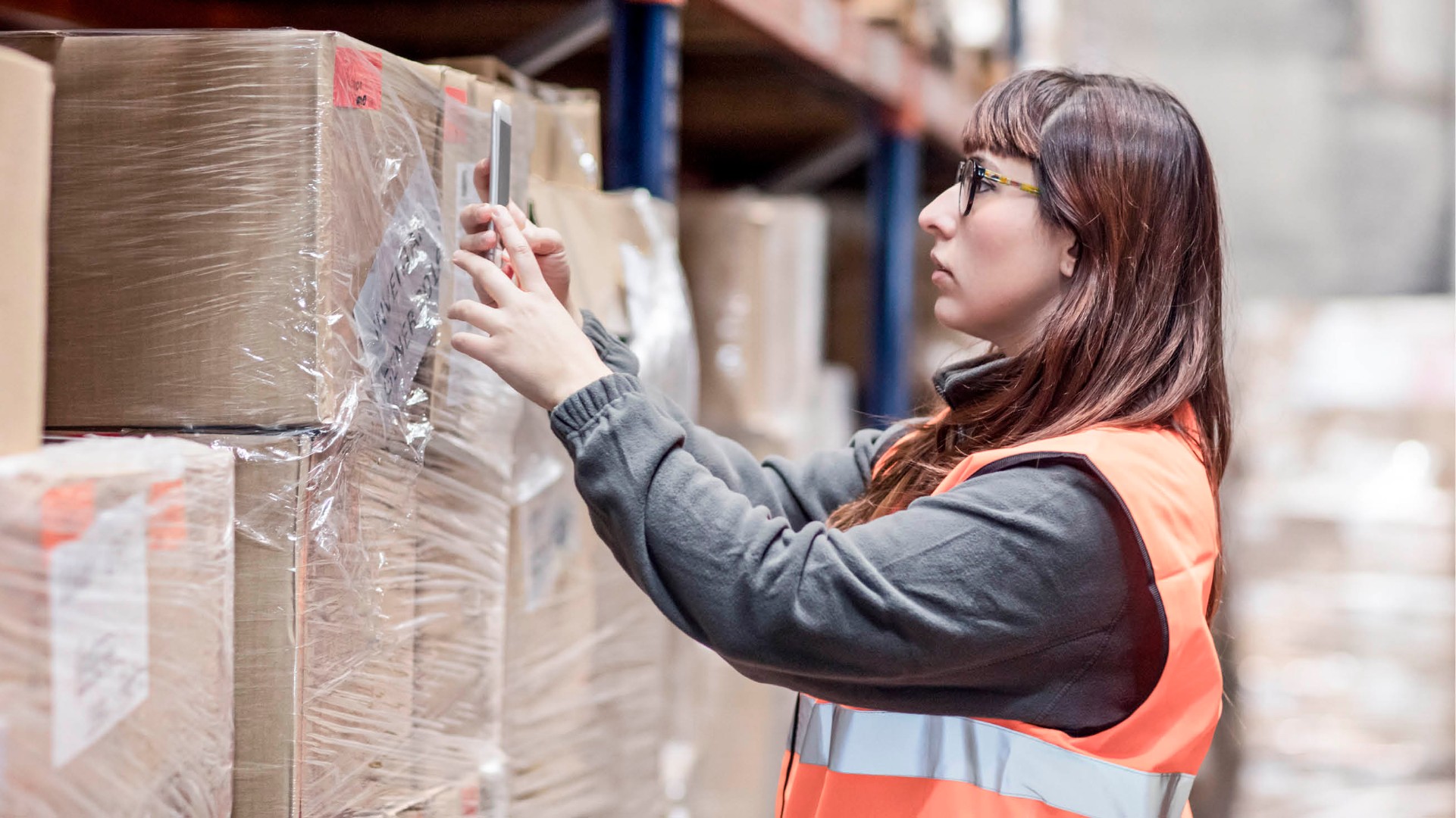 SAP Screen Personas - Scanning in the warehouse